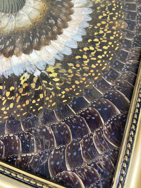 Image 1 of Tableau aile de papillons