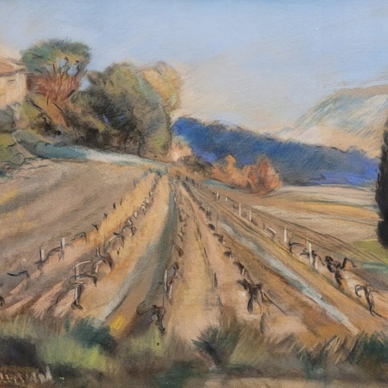 Image 1 of Pintura al pastel “Viñedo en la Provenza”, Escuela Francesa, p. s. XX – Francia