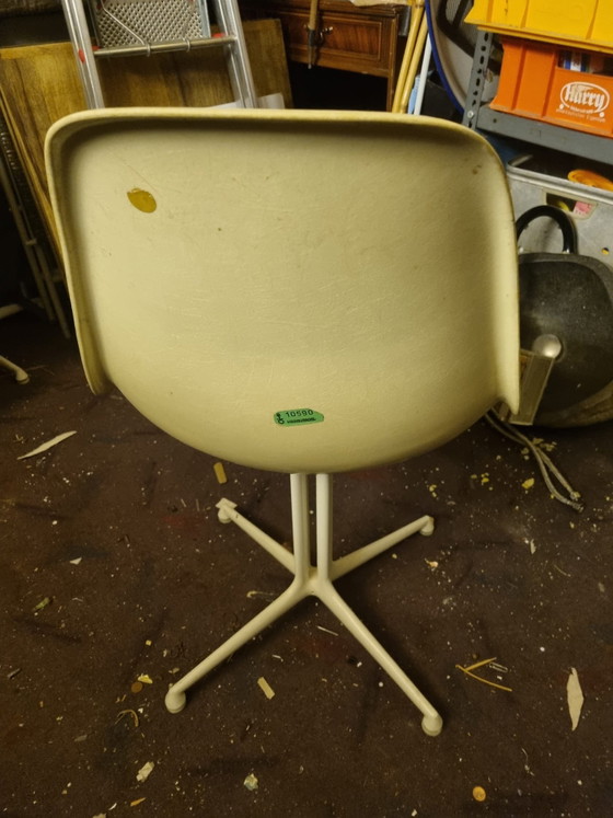 Image 1 of Sedia laterale originale Herman Miller Eames in fibra di vetro, vintage