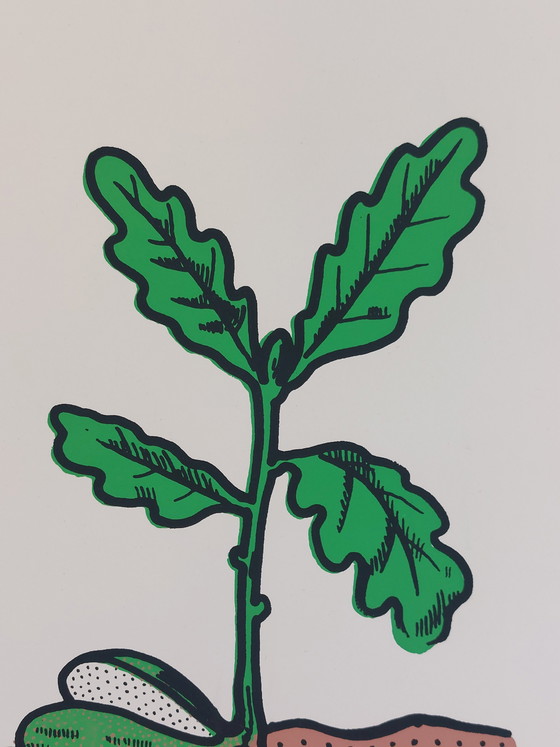 Image 1 of Vintage roll-up map, teaching aid, biology, wall map, oak trees