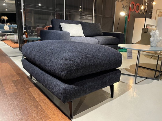 Image 1 of Fox 2,5 posti e -55%