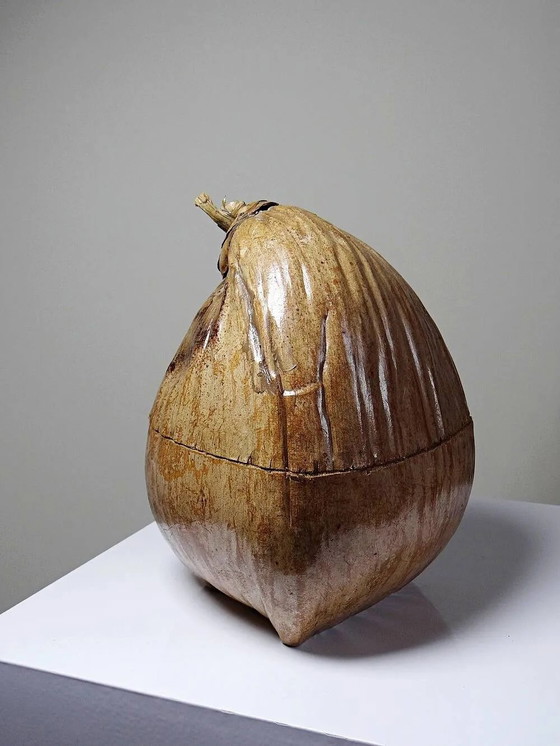 Scatola curiosa vintage anni '50-'60, secchiello per ghiaccio in cocco naturalizzato., Accessori da tavola (foto 6 di 14)