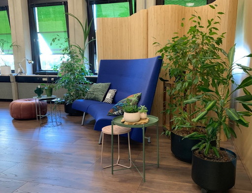 Scandinavian design sofa