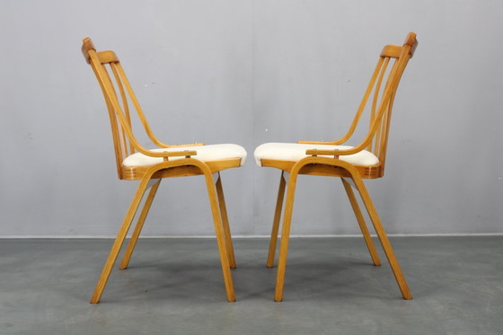 Image 1 of Set di quattro sedie da pranzo restaurate di metà secolo di Jitona