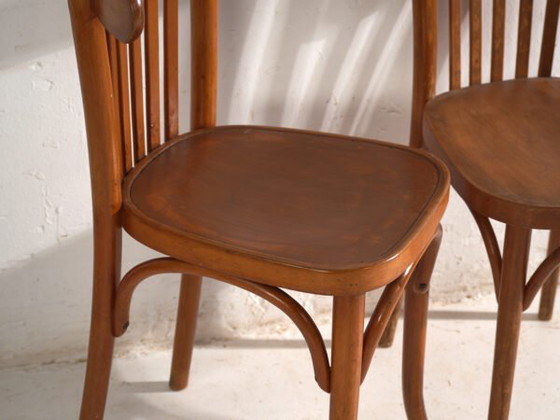 Antique armchairs in TON bentwood – Czechoslovakia, circa 1960 #3 (photo 17 of 40)