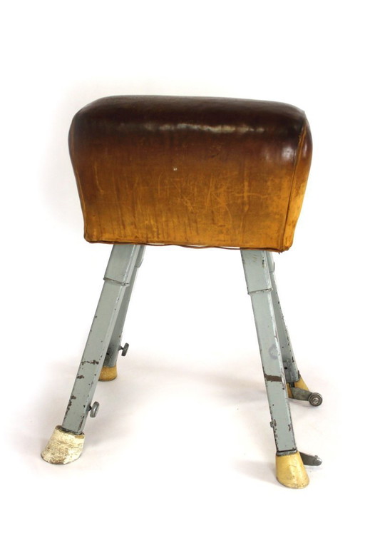 Vintage Gymnastic Horse in Leather with Springboard, 1960s, Set of 2