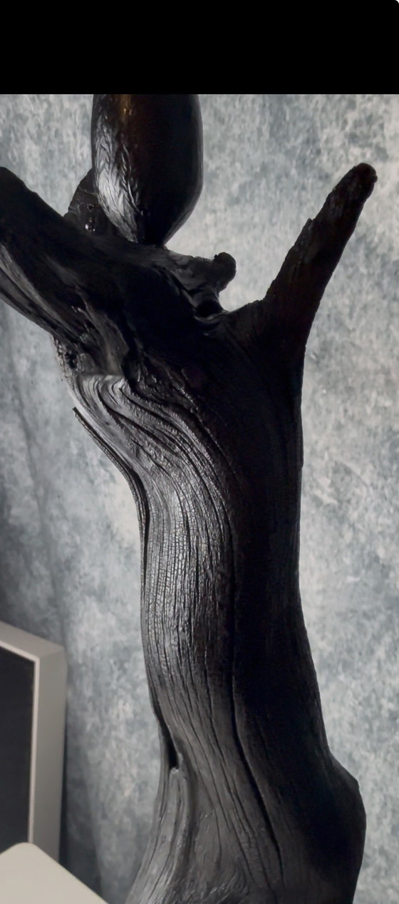 Lady Venom di Rotan Hunt Scultura e Luce – Sculture, Wood (photo 11 of 15)