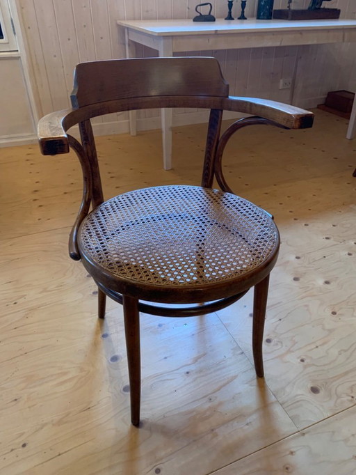 6 sedie da pranzo Thonet Ligna