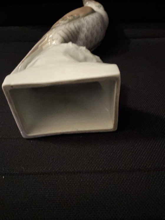 Image 1 of Very beautiful Falcon '