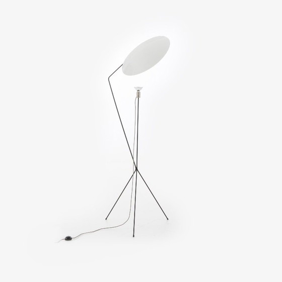 Solveig Floor standard lamp Ligne Roset – Floor lights, Other (photo 4 of 7)