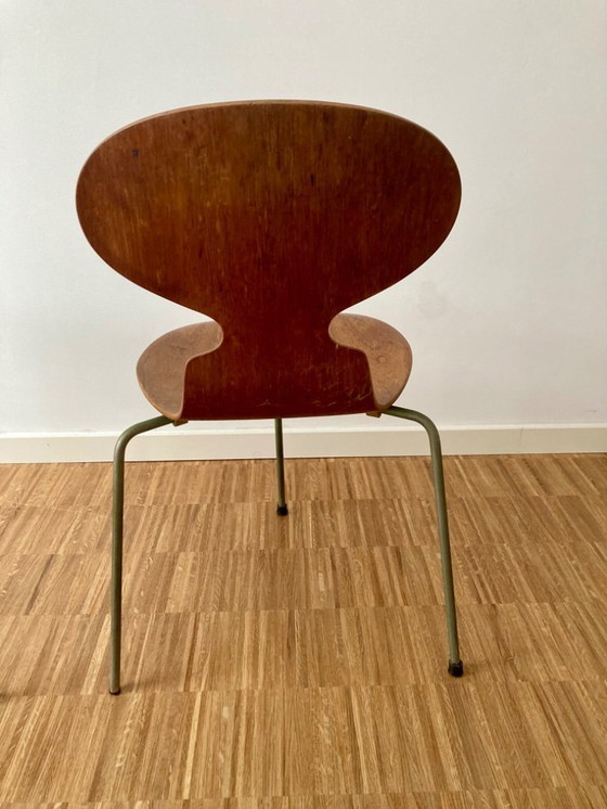 Image 1 of 2x silla Arne Jacobson Ant, originales ( años 50 )