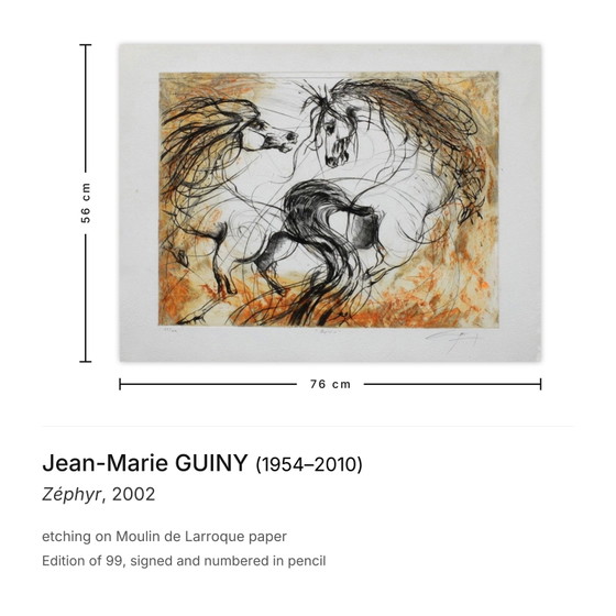 Jean-Marie Guiny ondertekende ets Zéphyr 2002 – Litho's & Zeefdrukken, Paper (photo 3 of 5)