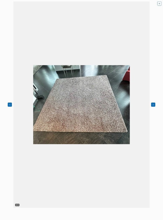 Rug with coffee table – Leolux, Rugs & carpets, Wool (photo 3 of 5)