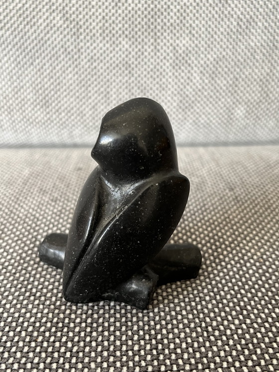 Image 1 of Gufo nero T. Earl