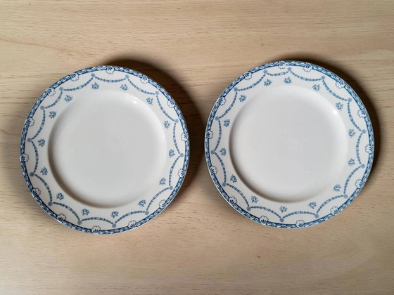6 piatti in terraglia inglese "Cheltenham" — F. Winkle & Co – Stoviglie, Porcelain, Art Nouveau (photo 4 of 8)