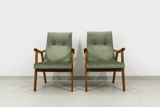 Image 1 of Poltrone Mid-Century di Edmund Homa Gfm 18, Polonia, anni '60, set O