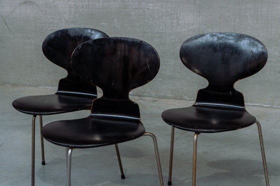 Image 1 of Early editions ant chairs Arne jacobsen By fritz hansen Upholster with black leather seats