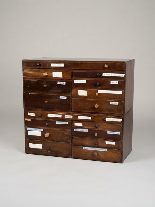 Vintage Hongaarse Houten Gereedschapskast Apothekerskast met Gelabelde Laden, Jaren '50