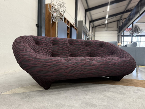 Image 1 of Línea Roset Ploum 3 Zits Banco Berenjena 204