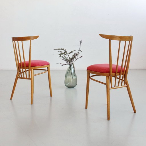 Paire de chaises de style Mid-Century, Tchécoslovaquie, entièrement restaurées et retapissées, vintage années 1960