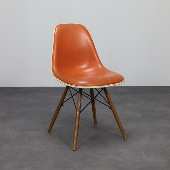 Image 1 of Eames DSW Chair Fehlbaum for Herman Miller, 1970s