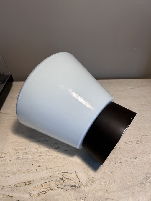 Vintage Bauhaus Industrieel Wandlamp/ Plafondlamp