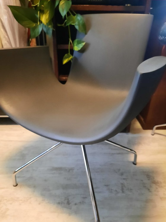 Sintesi Noah Spider Grey – Sillas giratorias, Metal, Plastic (photo 4 of 5)