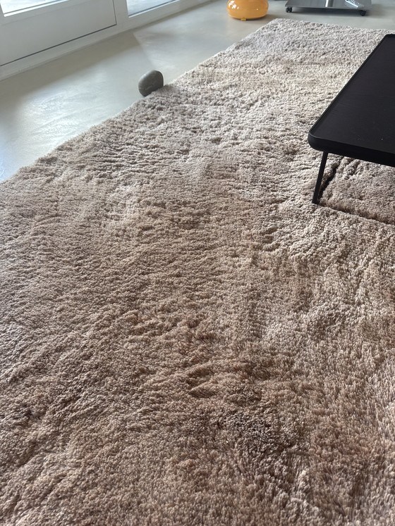 Image 1 of Kleed “Show Off” Frankly Amsterdam