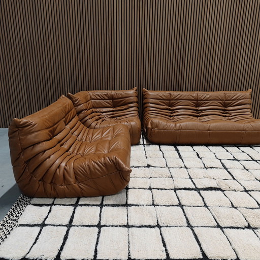 Ligne Roset Togo set