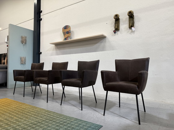 Image 1 of 4 Design on Stock Sedie da pranzo Moka in pelle Cabo Marron