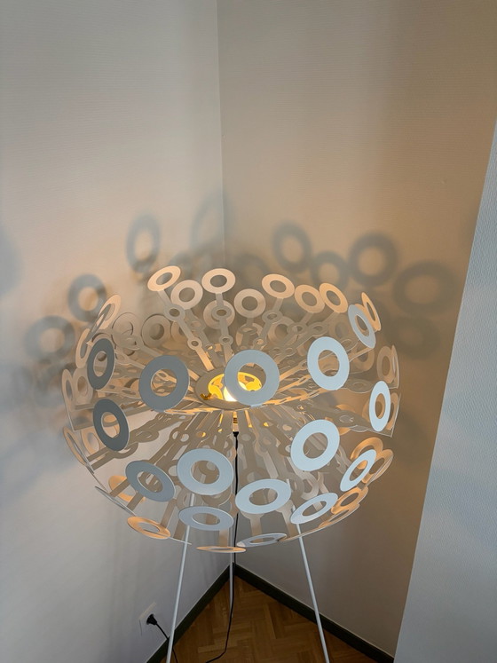 Dandelion Stehleuchten Richard Hutten – Moooi, Metall, Kunststoff (photo 4 of 10)