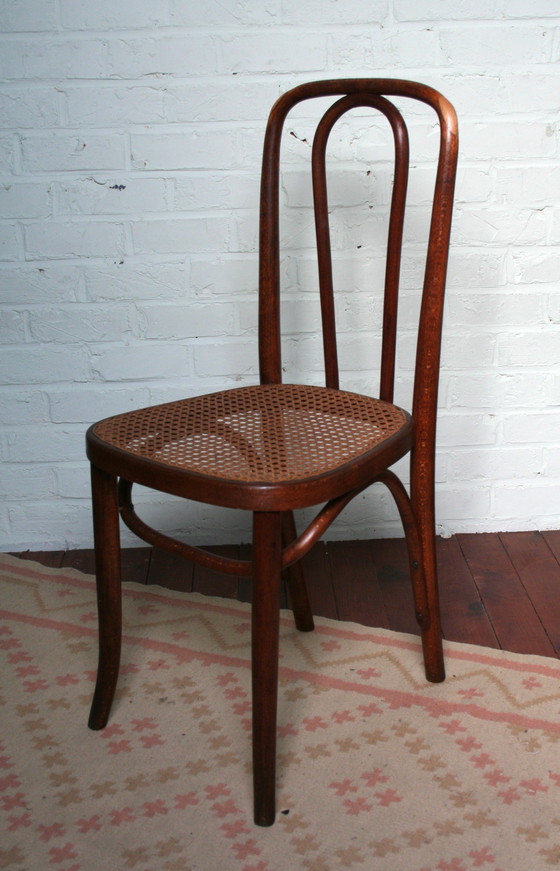 Image 1 of Alter restaurierter Thonet Typ N°391
