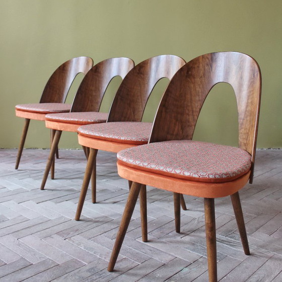 Image 1 of Sillas icónicas de Antonín Šuman con respaldos curvos chapados en madera, estilo moderno de mediados de siglo, década de 1960.