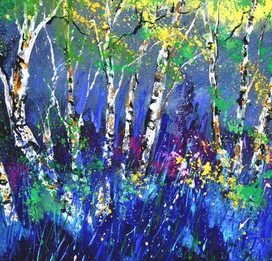 Image 1 of Aspen trees