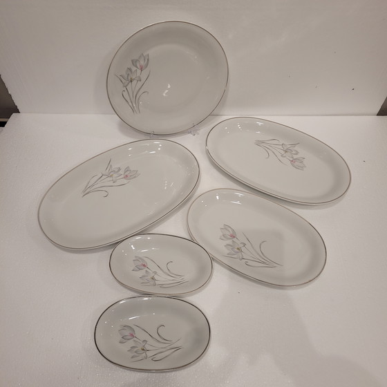 Image 1 of Vajilla de Porcelana Flores, Eschenbach, 55 Piezas, 50’s - Alemania