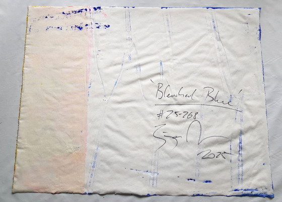 Image 1 of Jürgen Angeler - Bleu blanchi