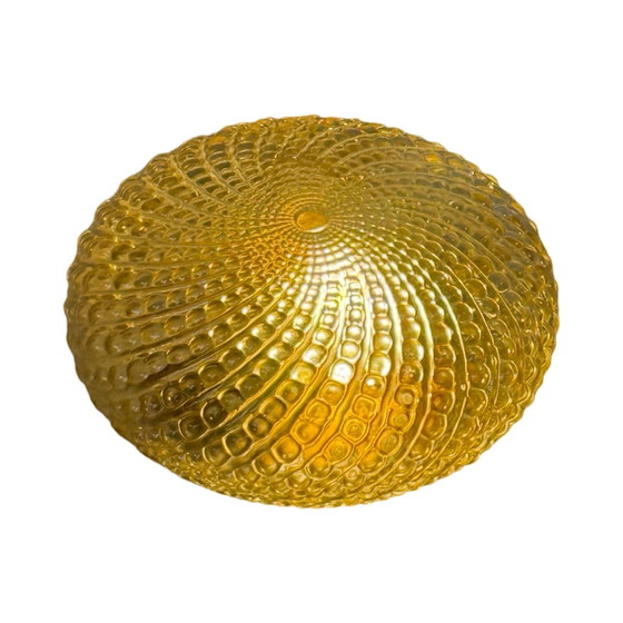 Image 1 of Deckenleuchte (oder Wandleuchte) mit gepresstem Glas - Wandleuchter - Midcentury Modern