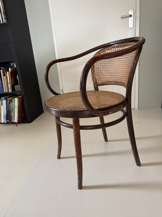 Set van 8 Drevounia/Thonet Stoelen – Eetkamerstoelen, Rattan, Wood (photo 3 of 5)