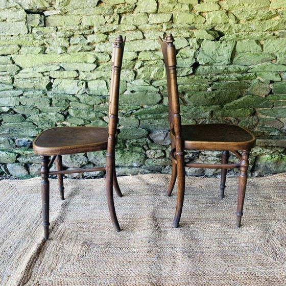 Image 1 of Pair of 2 chairs with relief pattern