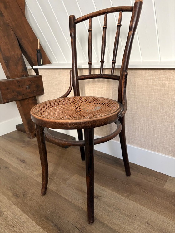 Sedia Thonet n. 8 – Sedie da pranzo, Legno (photo 4 of 5)