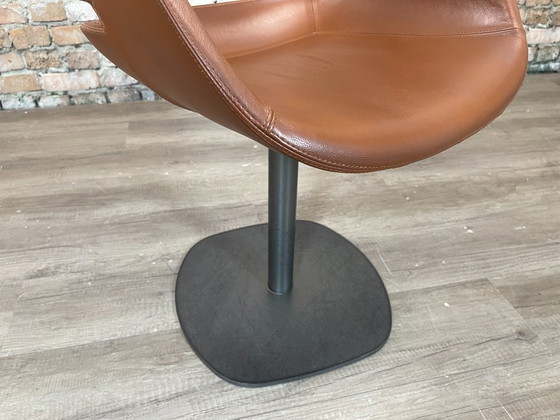 Image 1 of 6x Zanotta Eva