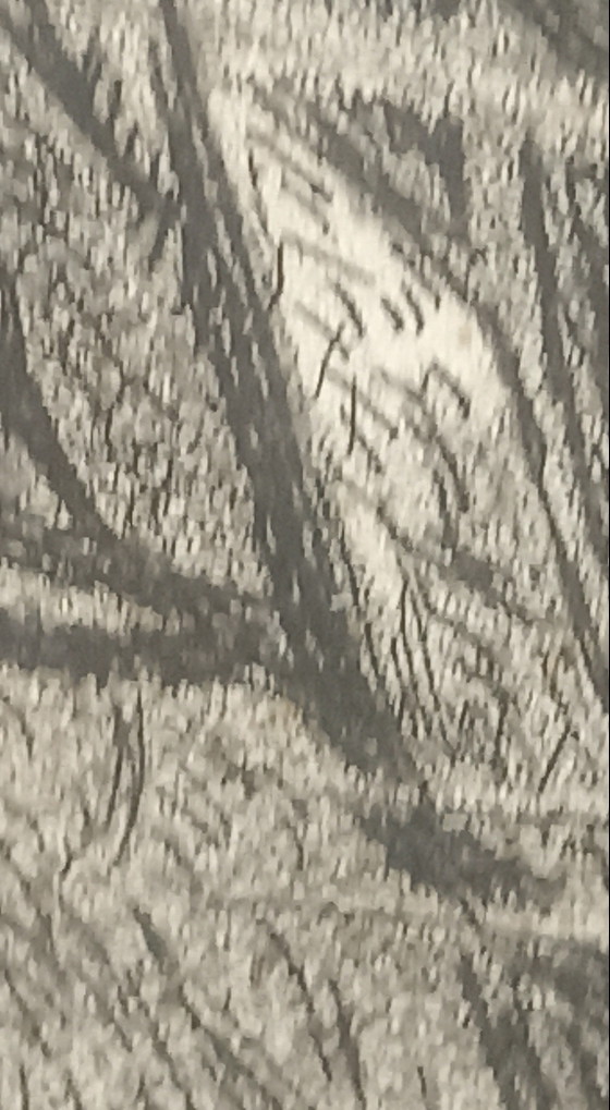 Image 1 of Authentic 19th-century engraving "The Sutherland Children" – Samuel Cousins ​​(In original frame)