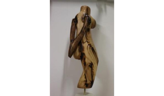 Image 1 of Erwin de Visser Scultura in legno di un torso femminile