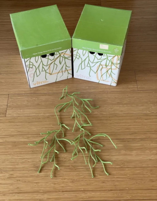 Vitra Algues Wanddecoratie 50x Groen