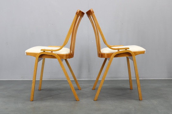 Image 1 of Set di quattro sedie da pranzo restaurate di metà secolo di Jitona