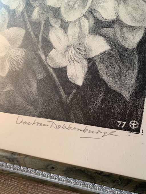 Aart van Dobbenburgh (1899-1988) - Lithographie Dahlia - Signée à la main r.o. 1977