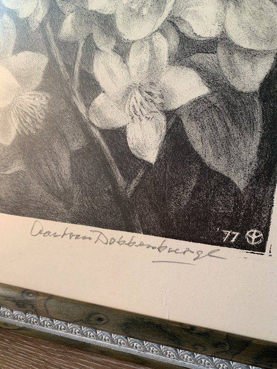 Image 1 of Aart van Dobbenburgh (1899-1988) - Lithographie Dahlia - Signée à la main r.o. 1977