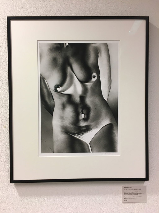 Steef Zoetmulder - Torse