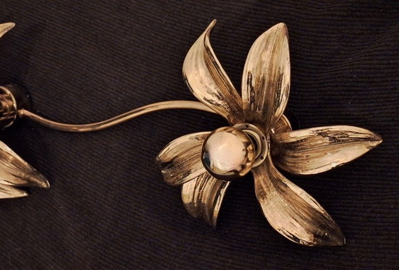 Image 1 of Brass Organically Shaped Double Wall or Ceiling Lights, 1970s