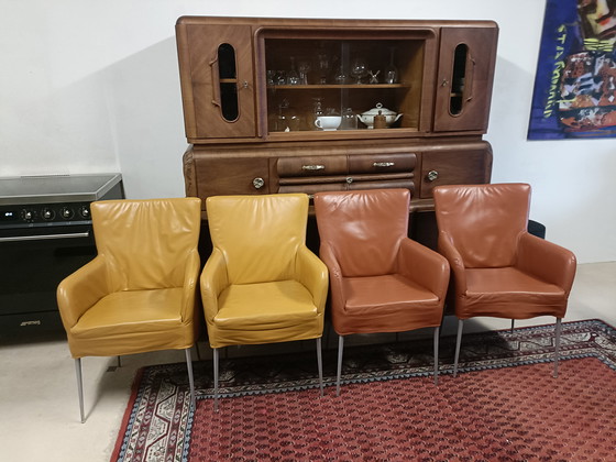 Image 1 of 4 lussuose sedie in pelle